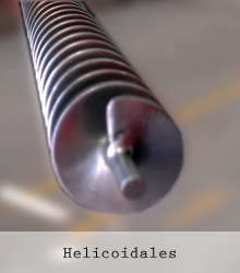 HELICOIDALES